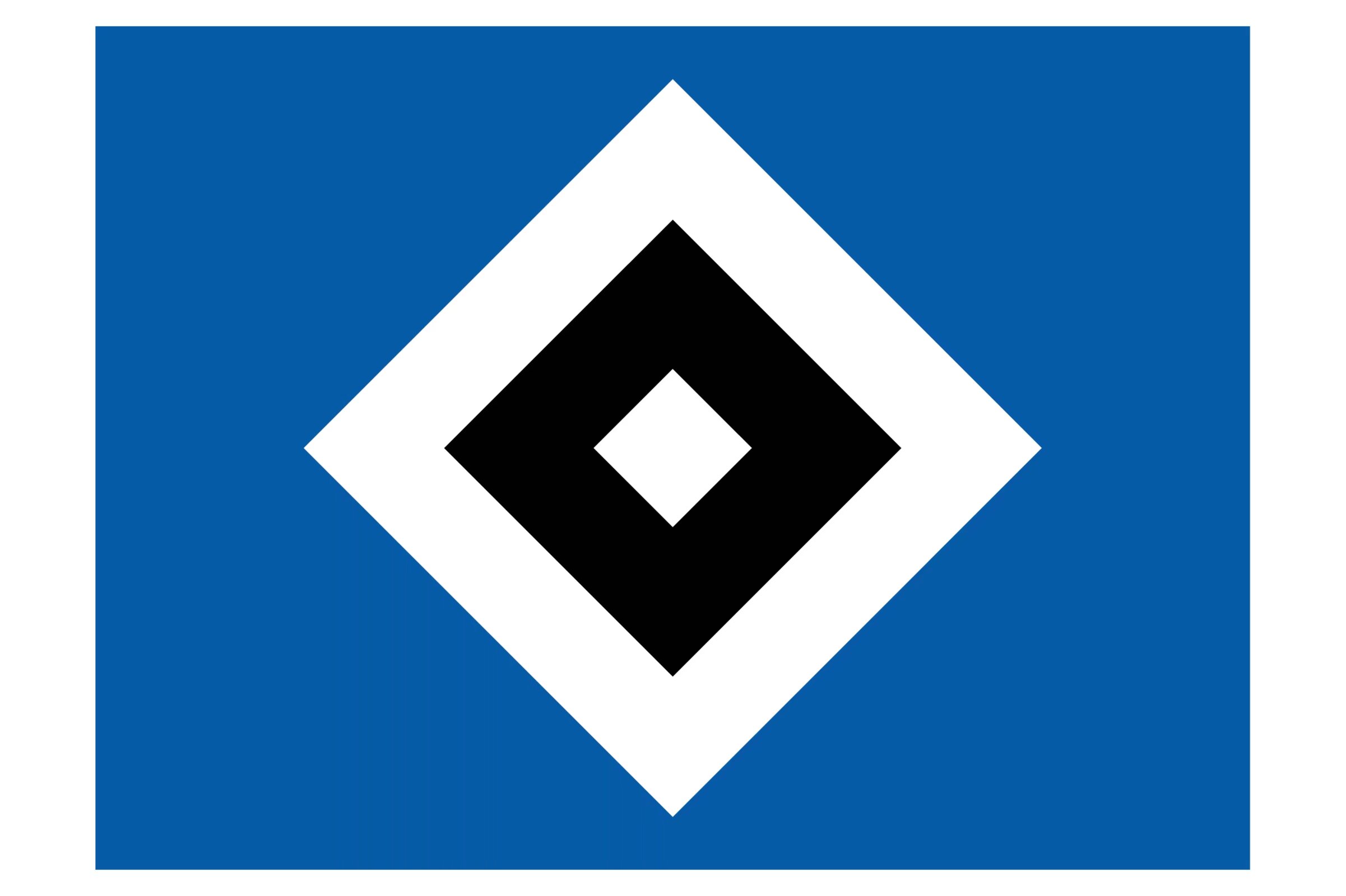 开云体育下载-汉堡队在比赛中表现出色,力争向前迈进