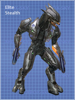 开云体育投注-关于精英共竞:澳宗教大战美国的信息